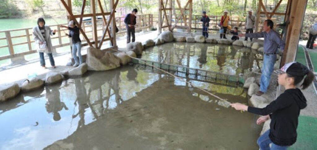 椎茸園有馬富士でのニジマス釣り