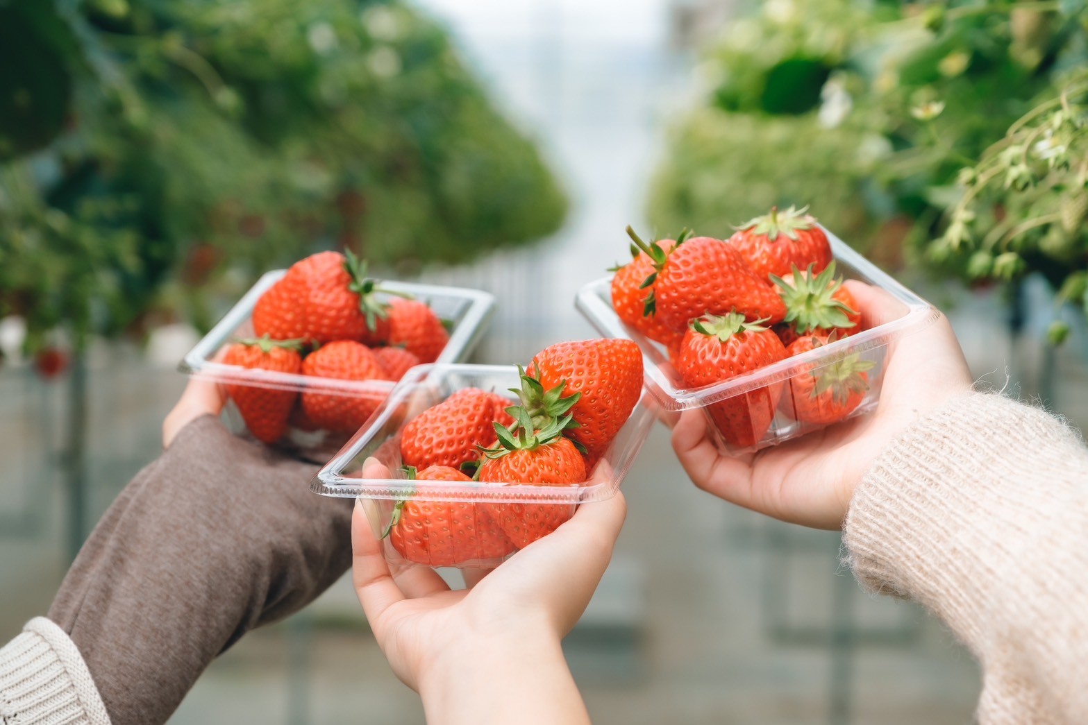 サムネイル写真