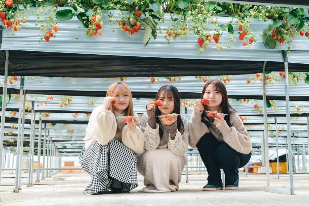 イチゴを持って3人座っている