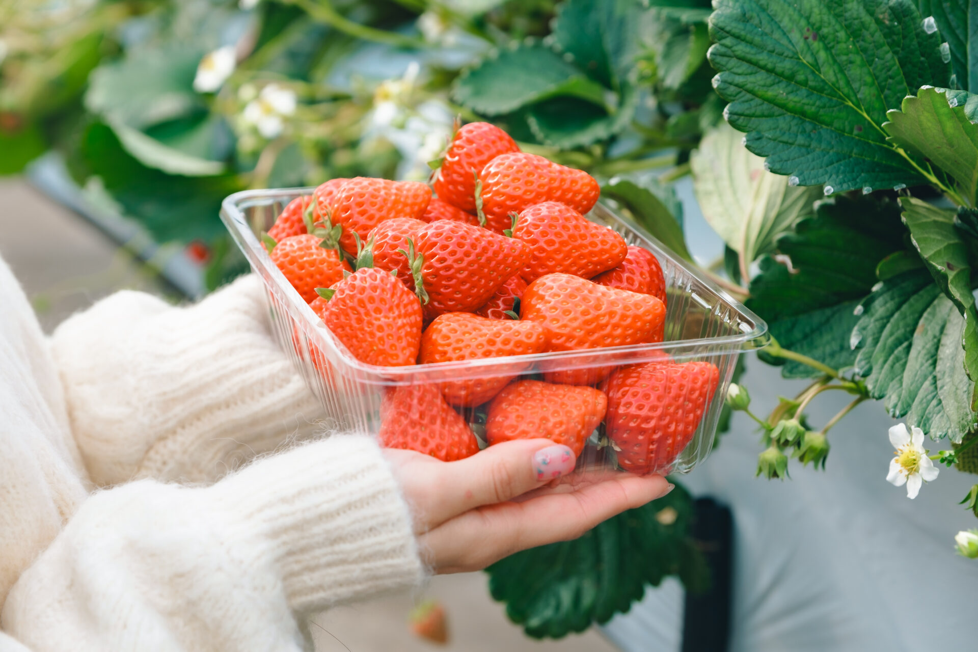 サムネイル写真