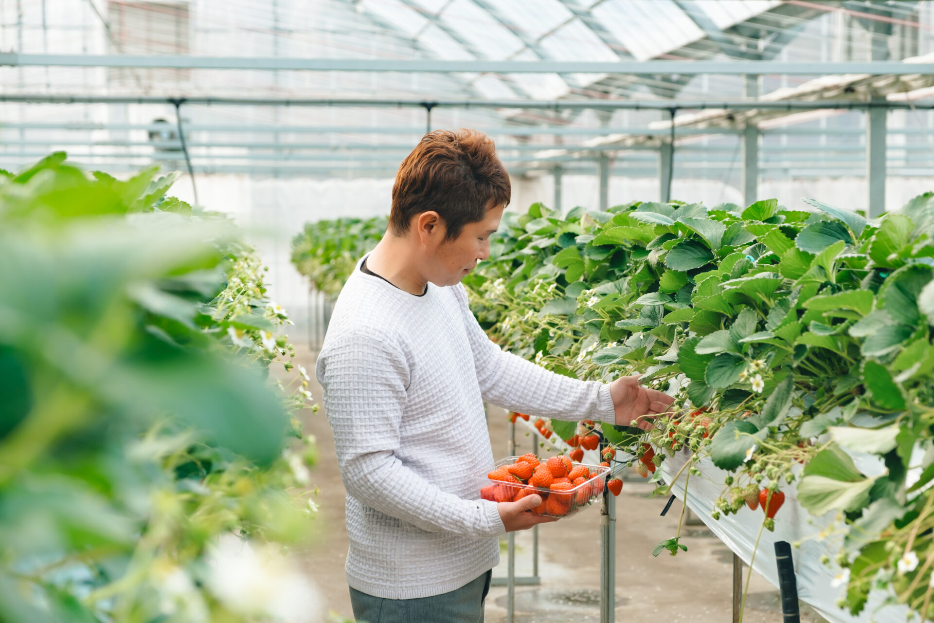 サムネイル写真