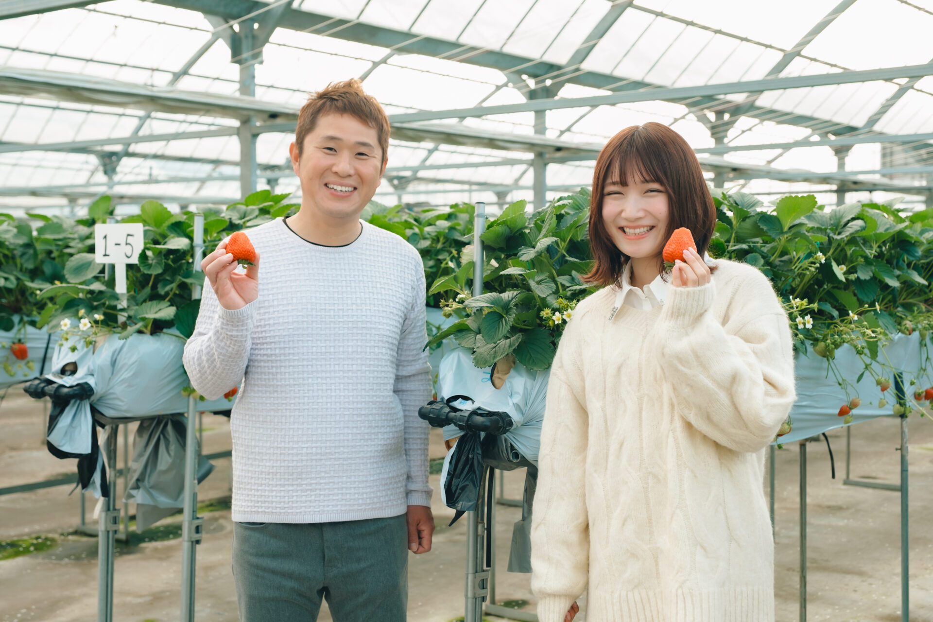 サムネイル写真