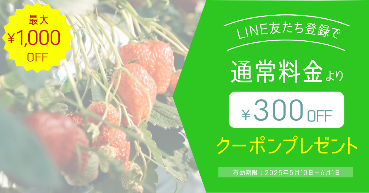 サムネイル写真