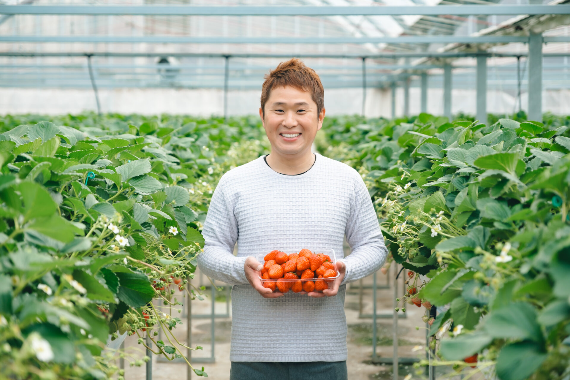 サムネイル写真