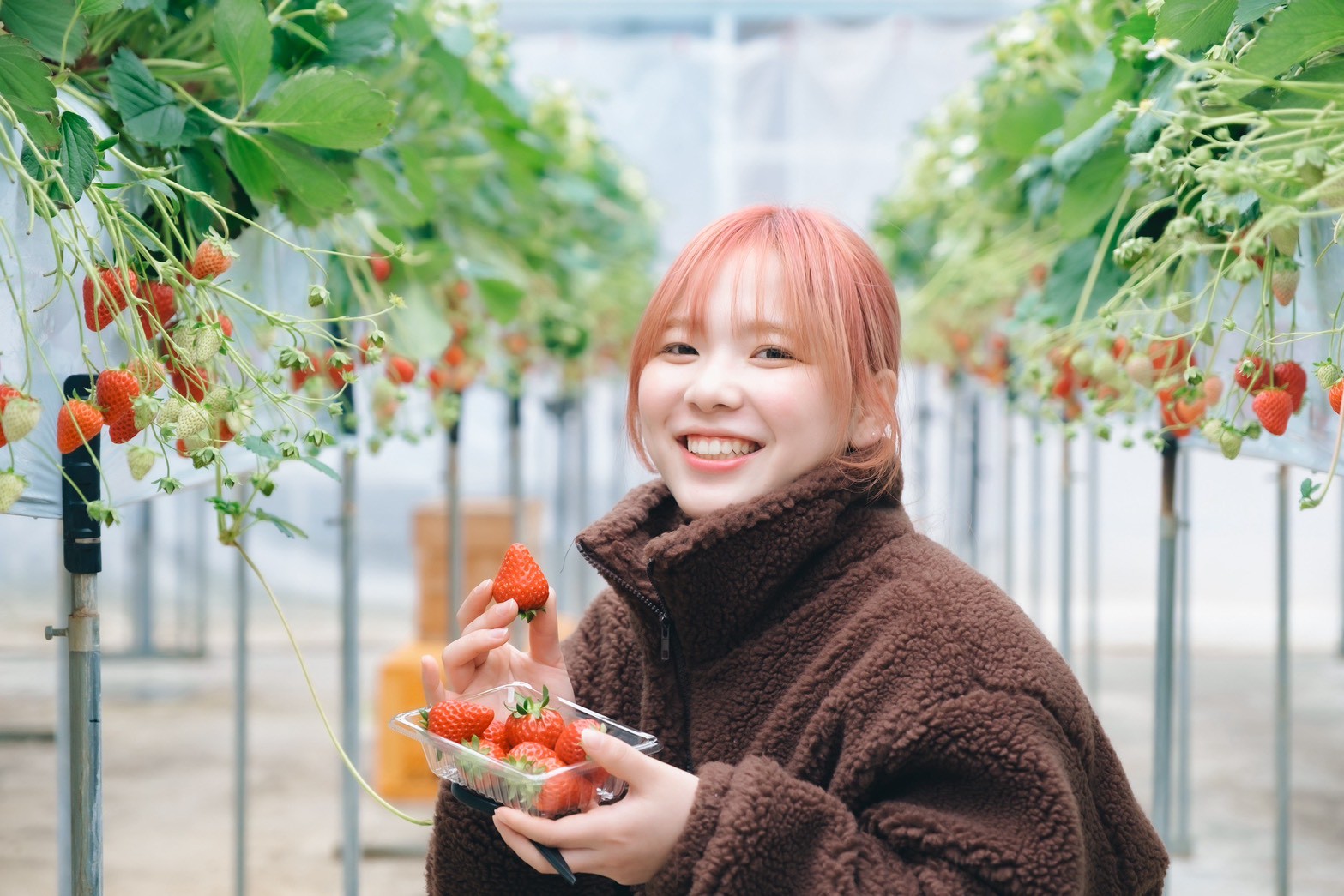 サムネイル写真