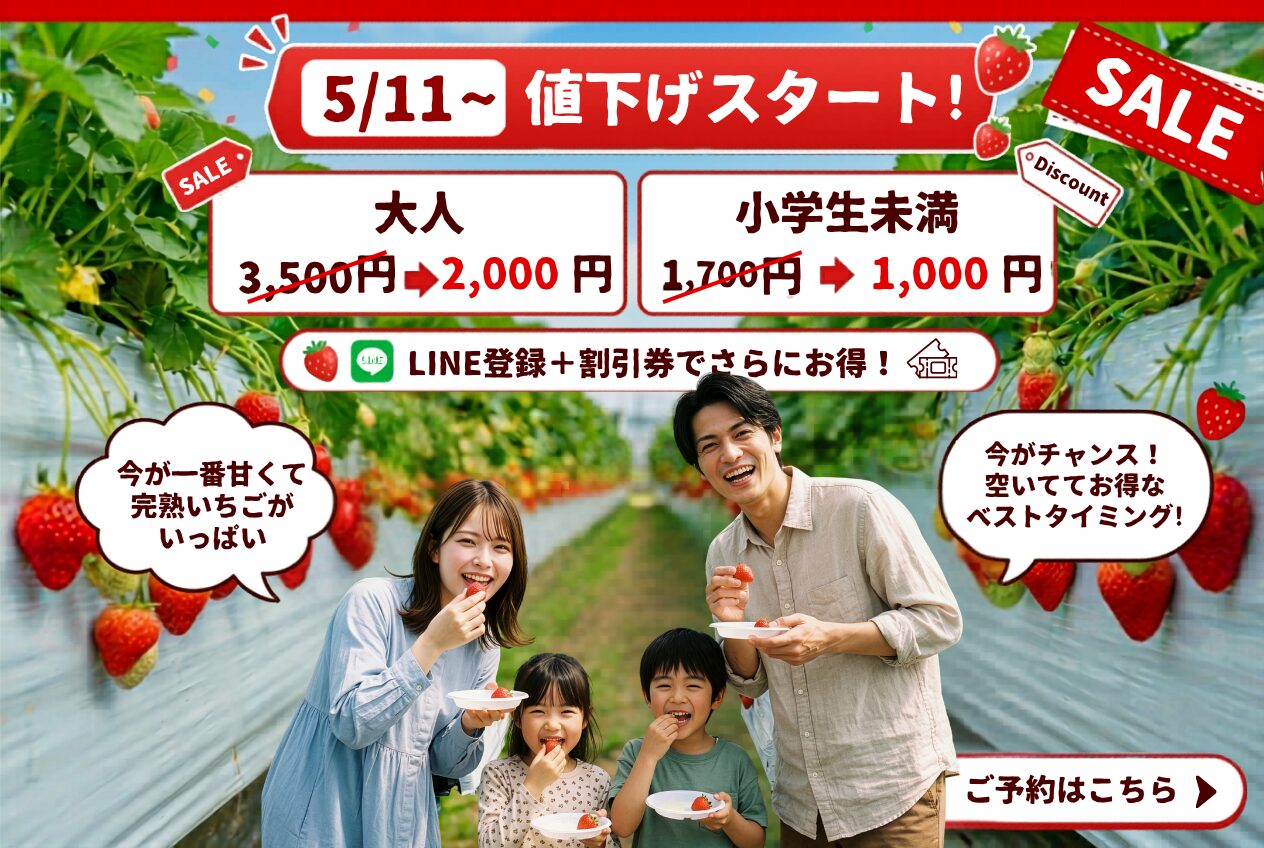 サムネイル写真
